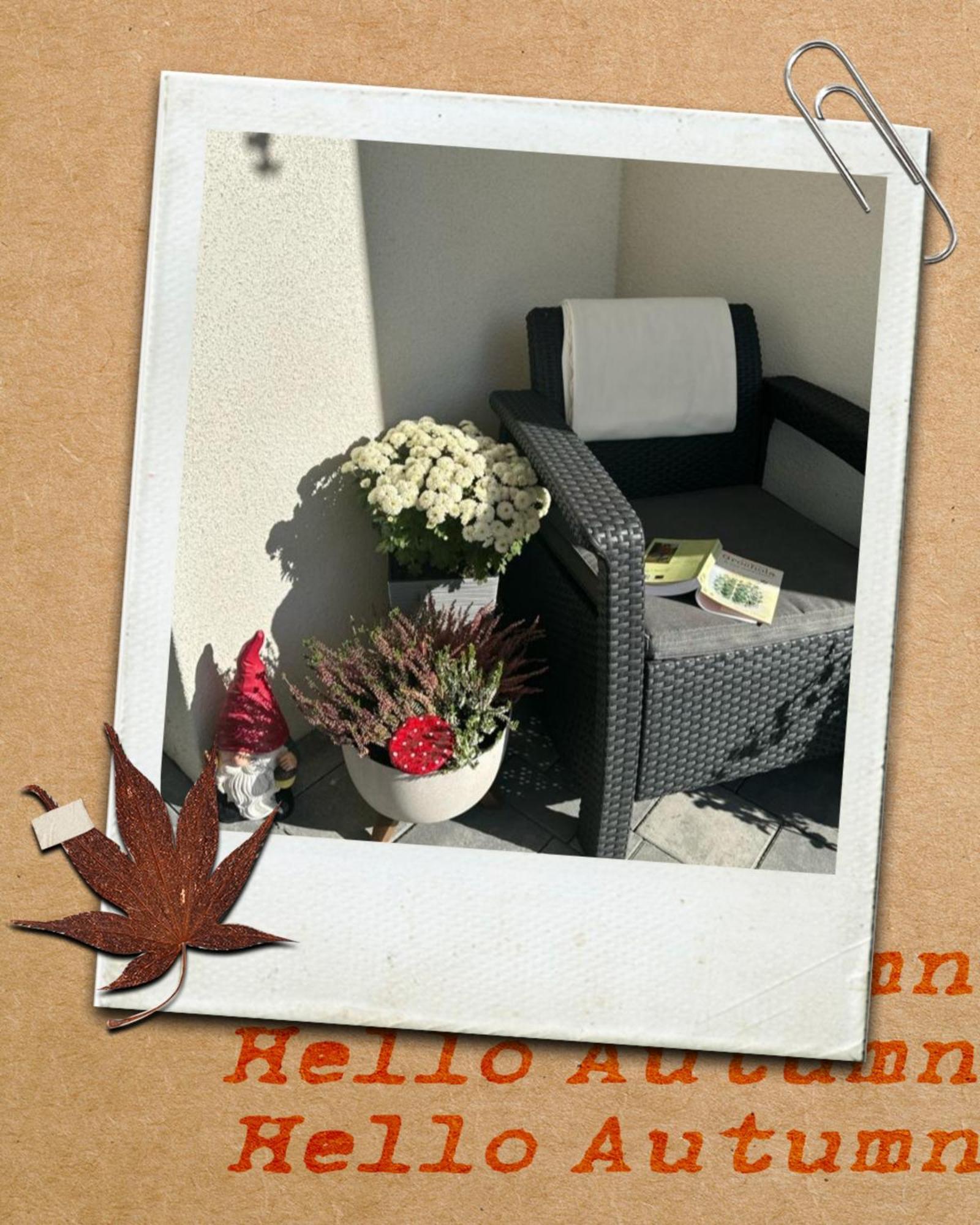 Apartamento Solek I Goscinne