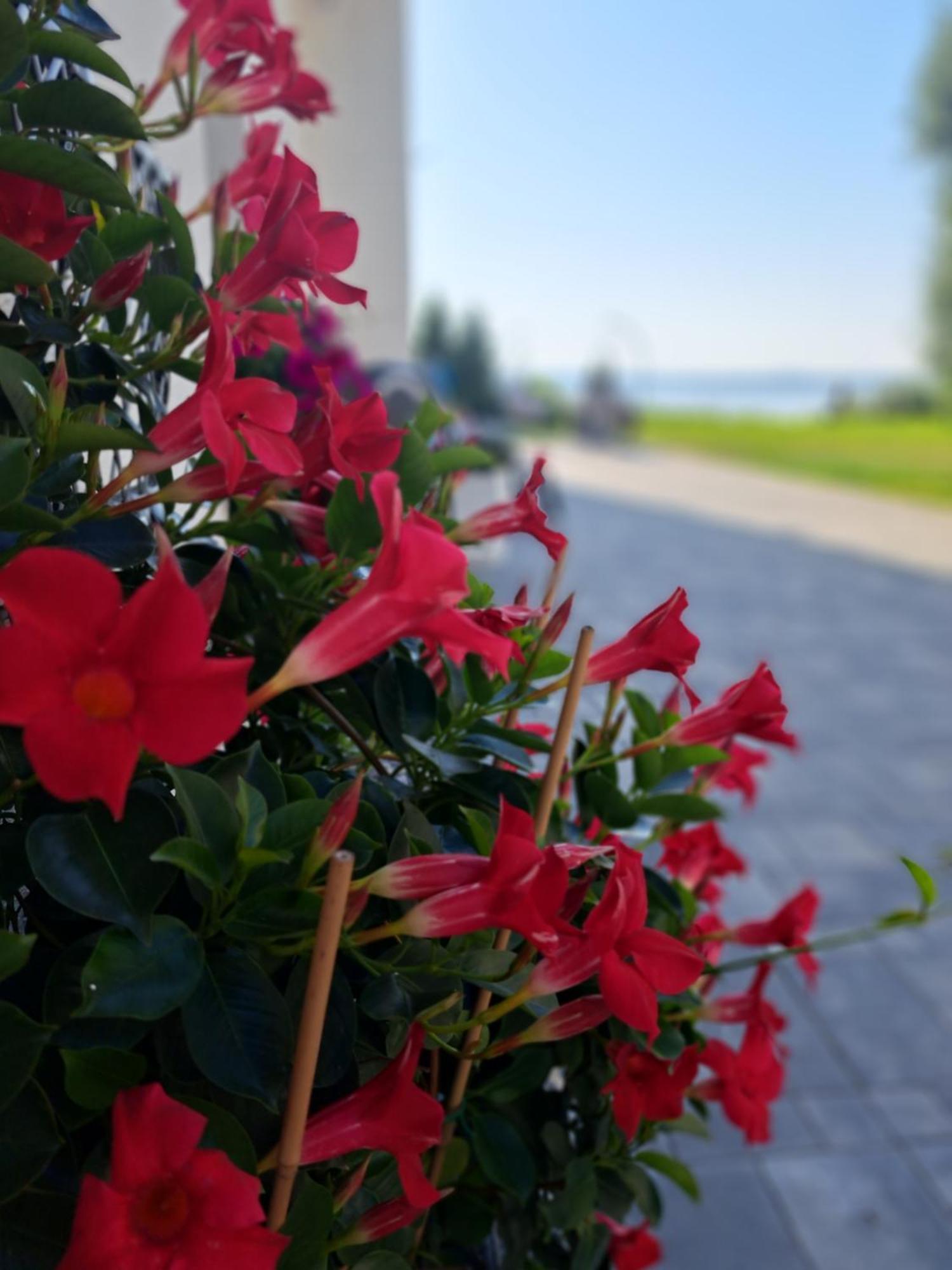 Apartamento Solek I Goscinne