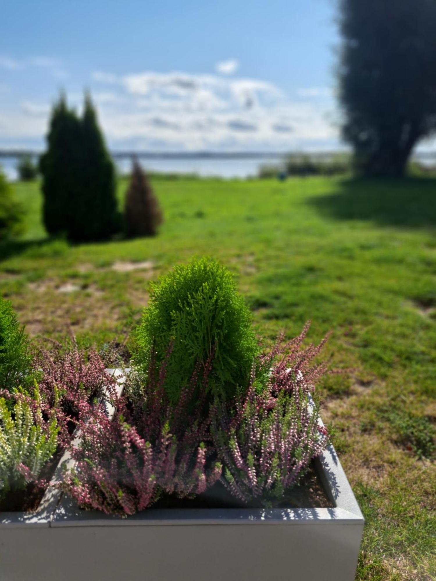 Apartamento Solek I Goscinne