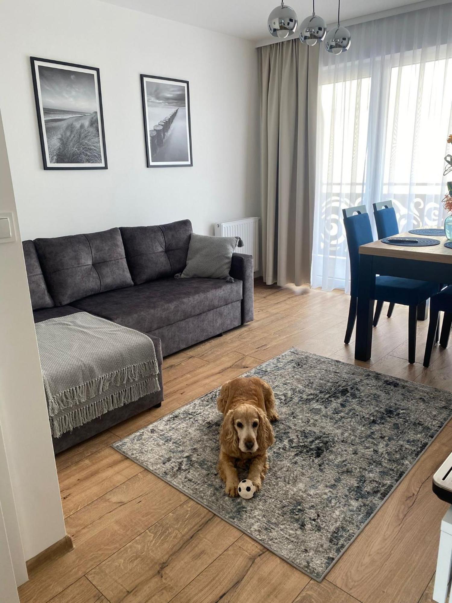 Apartamento Solek I Goscinne